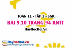 Bài 9.10 trang 94 Toán 11 tập 2 Kết nối tri thức